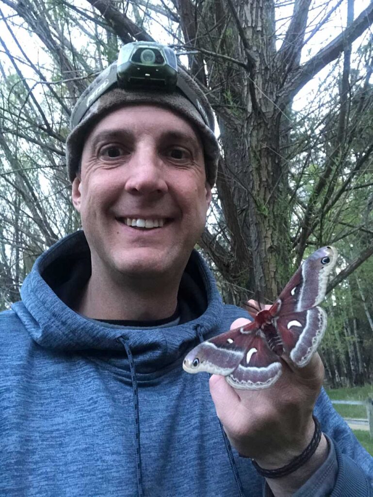 Montana Moth Project Mat Seidensticker