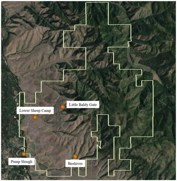 Figure 2. Points show the location of light trap monitoring sites on MPG Ranch.