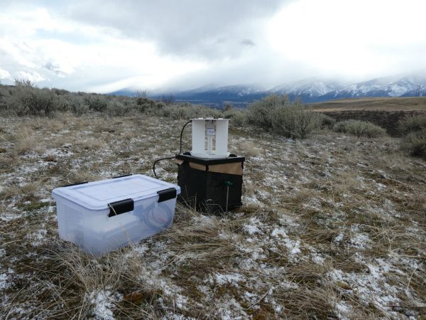 A light trap we set up at the Beehives site.